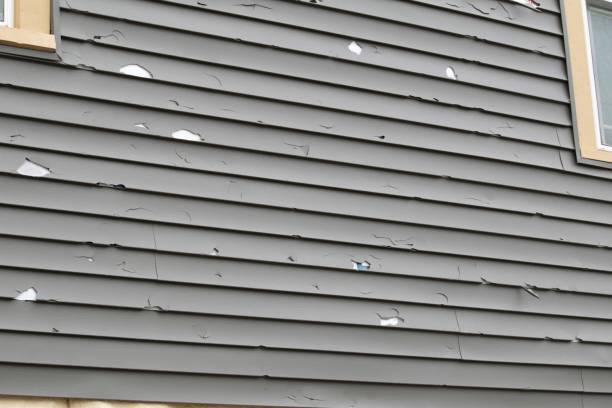 Best Vinyl Siding Installation  in Staffd, OR